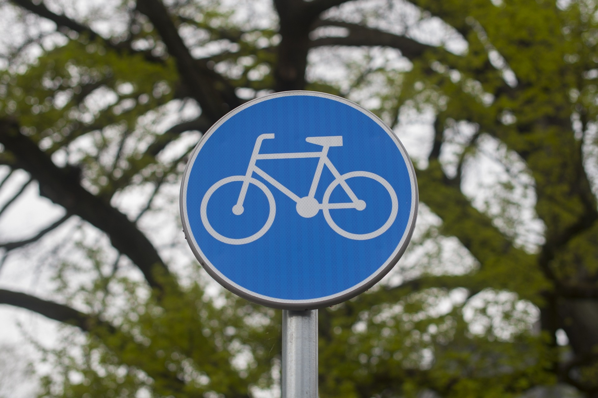 cycle-path-4167412_1920.jpg