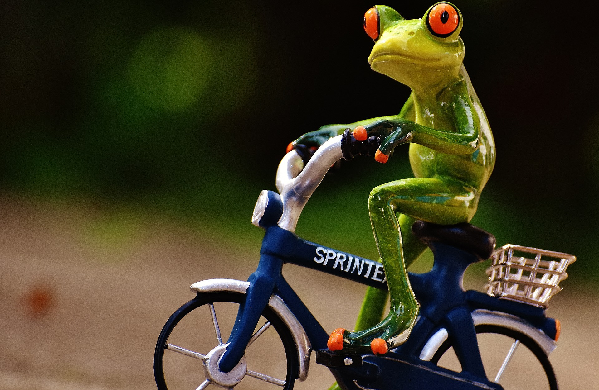 frog-1703578_1920.jpg