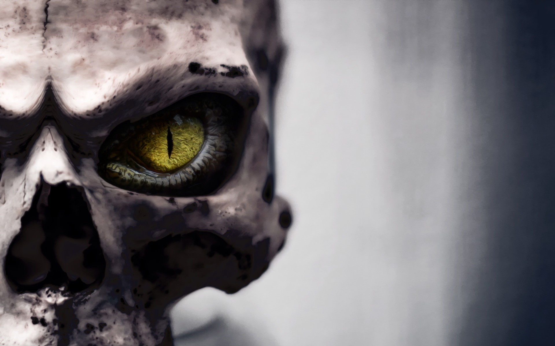 skull-4039821_1920.jpg