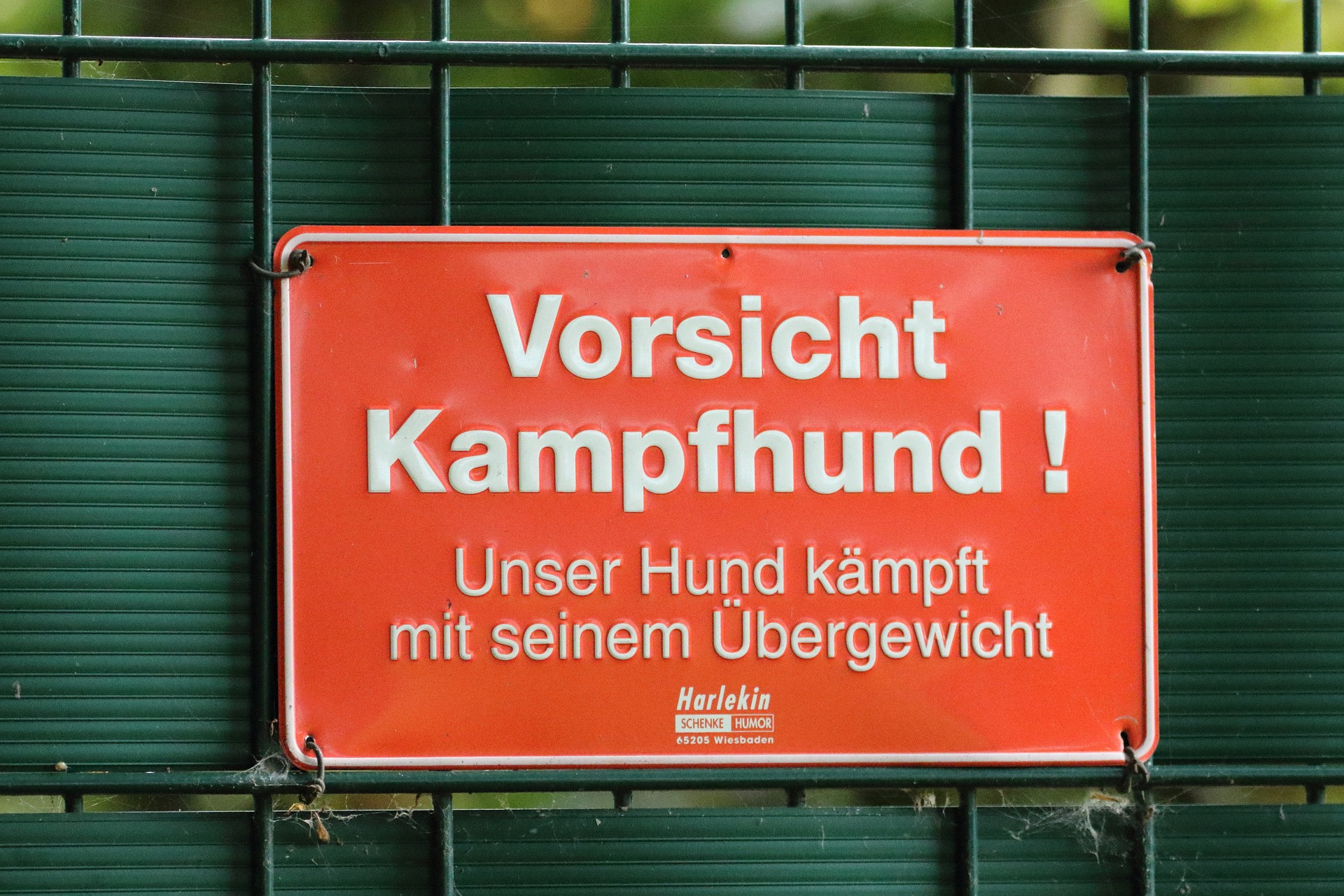 Schild-Vorsicht-Kampfhund-.jpg